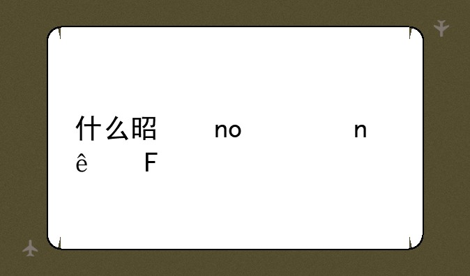 什么是四项目人员