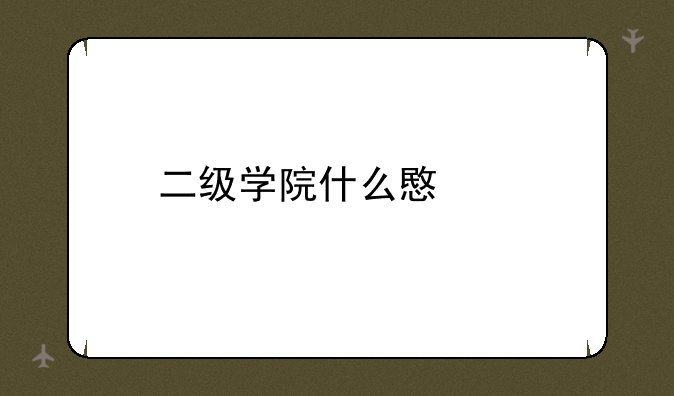 二级学院什么意思