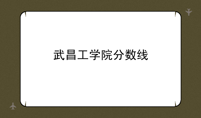 武昌工学院分数线