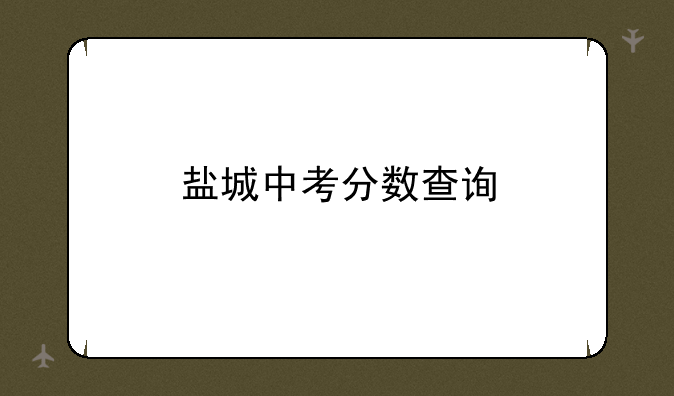 盐城中考分数查询