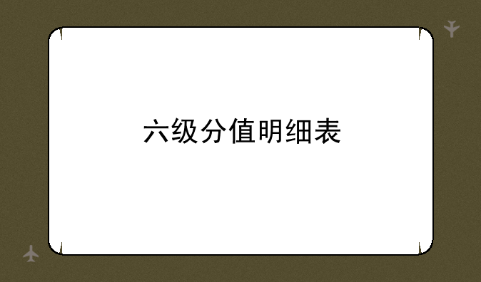 六级分值明细表