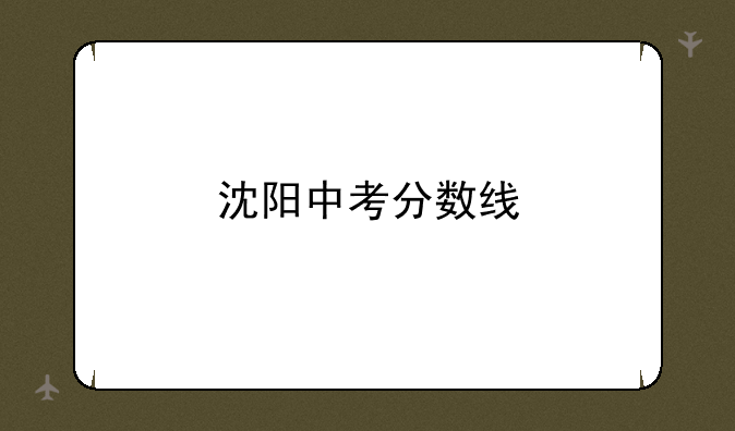 沈阳中考分数线
