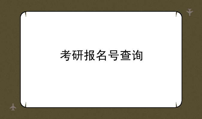 考研报名号查询