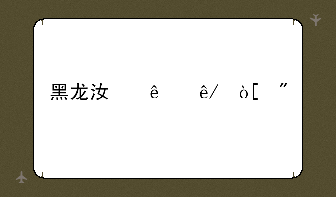 黑龙江人事编制