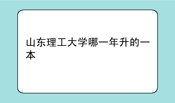 山东理工大学哪一年升的一本