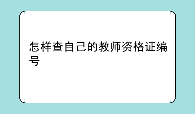 怎样查自己的教师资格证编号