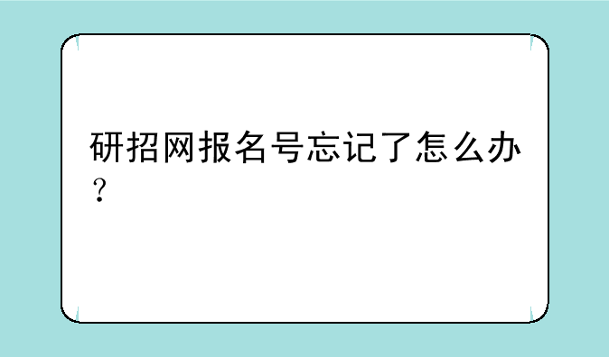 研招网报名号忘记了怎么办？