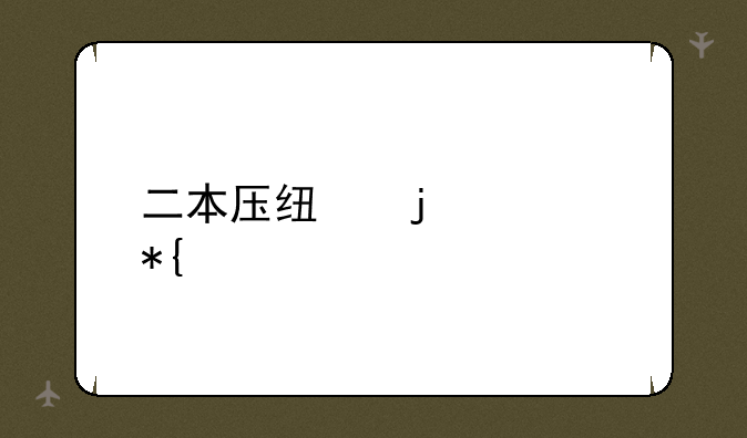 二本压线的公办大学