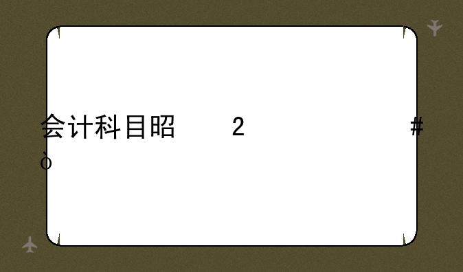 会计科目是指什么？