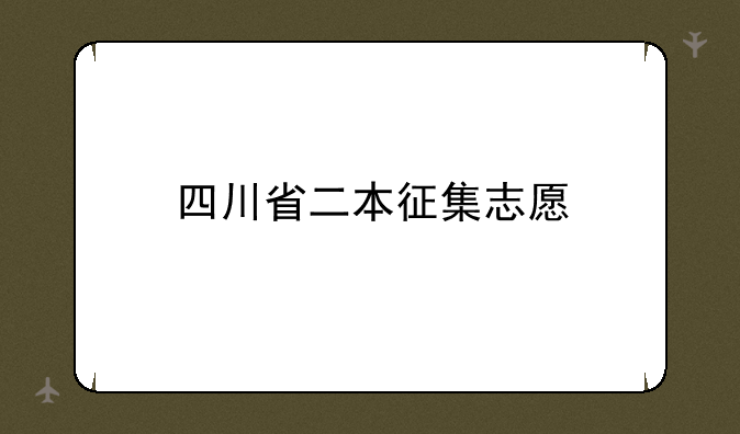 四川省二本征集志愿