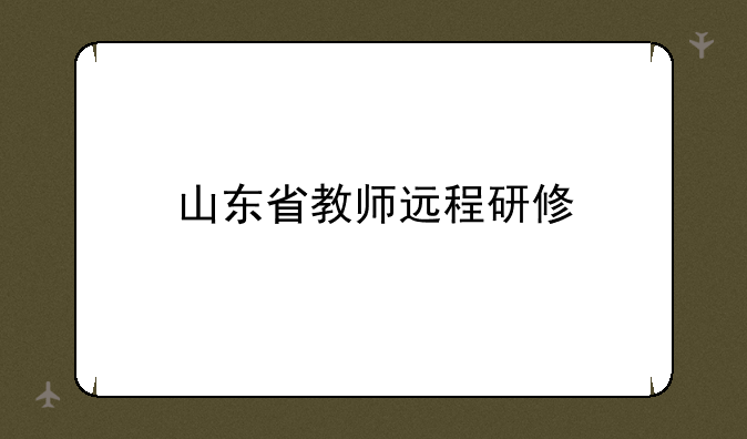 山东省教师远程研修