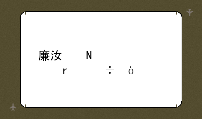 廉江哪个学校最好？