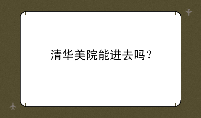 清华美院能进去吗？