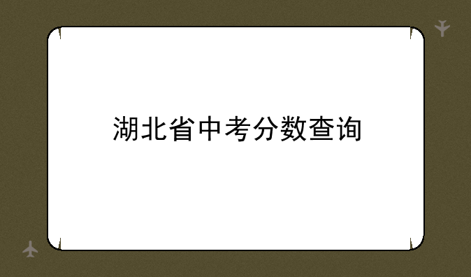 湖北省中考分数查询