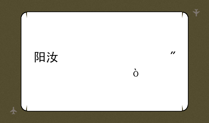 阳江中考计分标准？