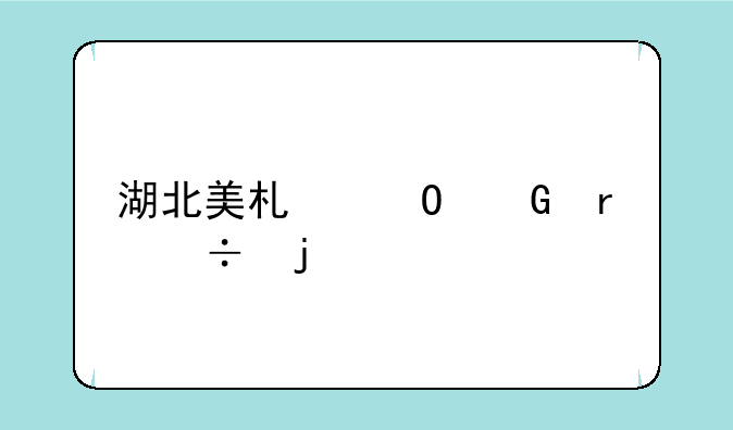 湖北美术专科最好的大专