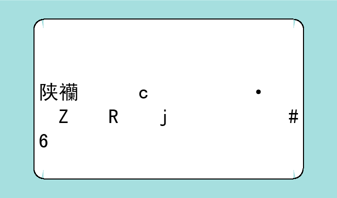 陕西高考语文用的什么卷