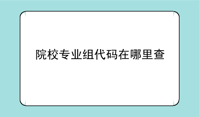 院校专业组代码在哪里查