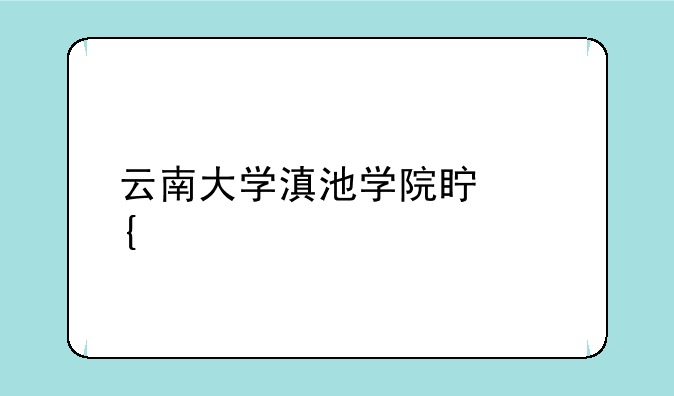 云南大学滇池学院真实评价