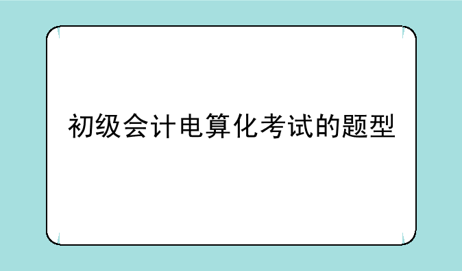 初级会计电算化考试的题型