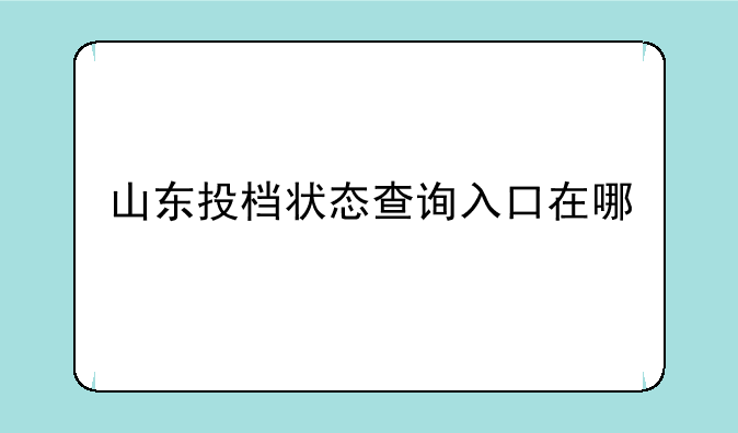 山东投档状态查询入口在哪