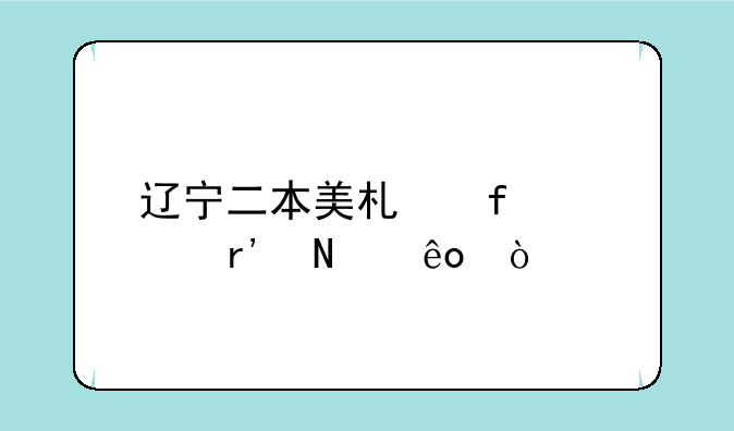 辽宁二本美术院校有哪些？