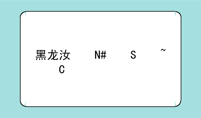 黑龙江哈尔滨音乐艺考培训学校排行榜，哪家值得去？