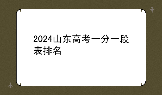 2024山东高考一分一段表排名