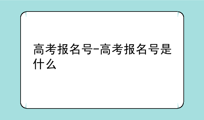 高考报名号-高考报名号是什么