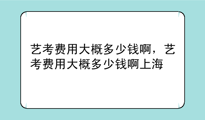 艺考费用大概多少钱啊，艺考费用大概多少钱啊上海